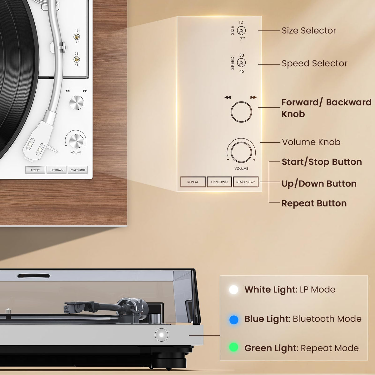 1byone bookshelf speakers with DSP deliver balanced, room-filling sound.