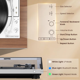1byone bookshelf speakers with DSP deliver balanced, room-filling sound.