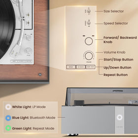 1byone built-in DSP speakers deliver balanced room-filling sound.