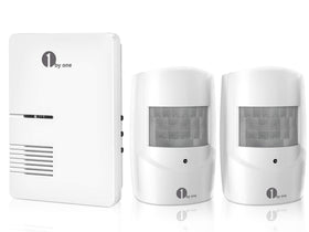 1byone front view of kit showing sensors and receiver for visible security