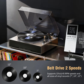 1byone belt-drive system delivers smooth 33/45 RPM rotation