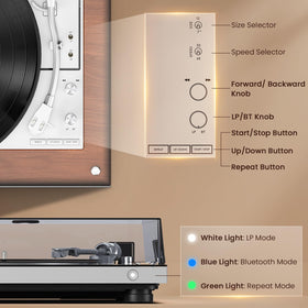 1byone built-in preamp enables direct connection to powered speakers.