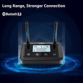 1Mii B03+ low latency and aptX codecs for crisp sound.