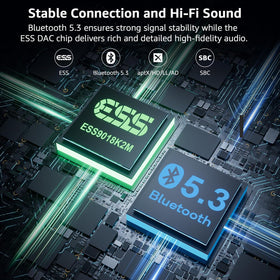 1Mii B03S dual antennas extend wireless range and stability.