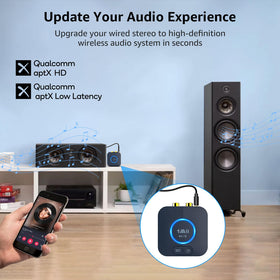 1Mii B06HD rear outputs with RCA and 3.5mm jacks for flexible hookup