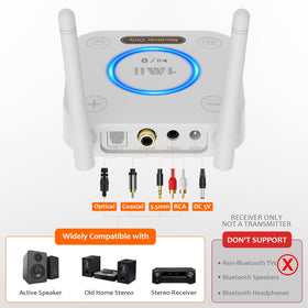 1Mii B06Pro connected to home stereo RCA demonstrating wireless streaming benefit