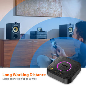 1Mii B06S+ connected to receiver via RCA demonstrating easy installation