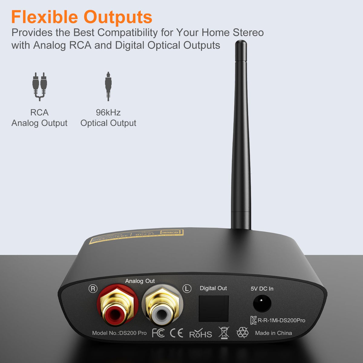 1Mii DS200Pro compact design fits neatly into modern living spaces.