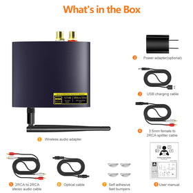 1Mii DS200Pro optical-output view for modern AV receivers.