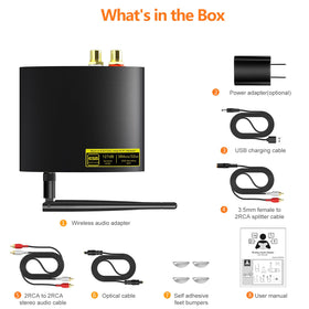 1Mii DS200Pro included cables simplify quick plug-and-play setup.