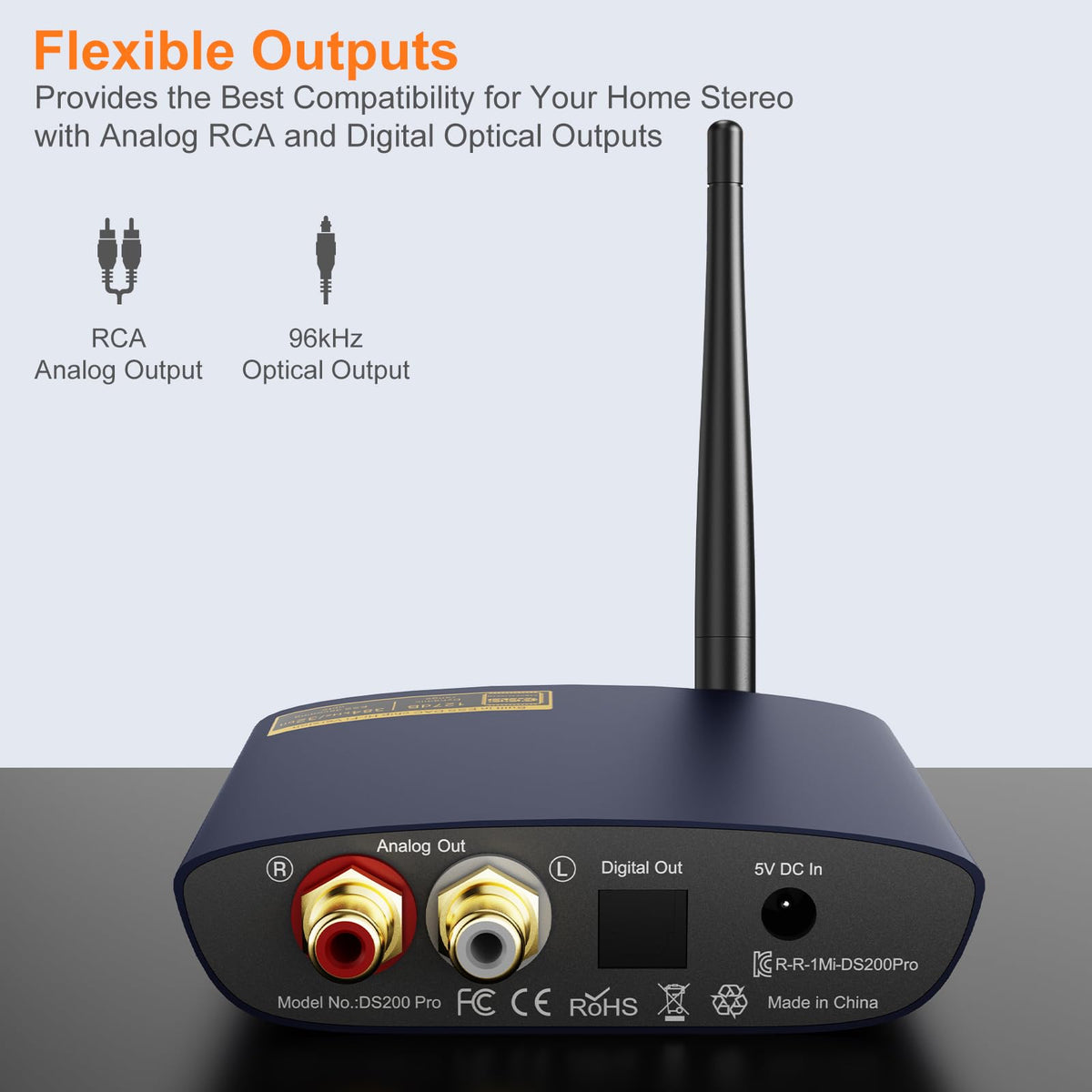 1Mii DS200Pro RCA-output connection for legacy amplifiers.