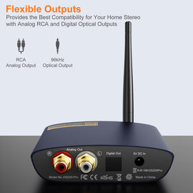 1Mii DS200Pro RCA-output connection for legacy amplifiers.