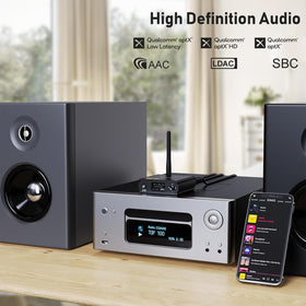 1Mii DS220 internal DAC close-up highlighting high-quality conversion for improved audio