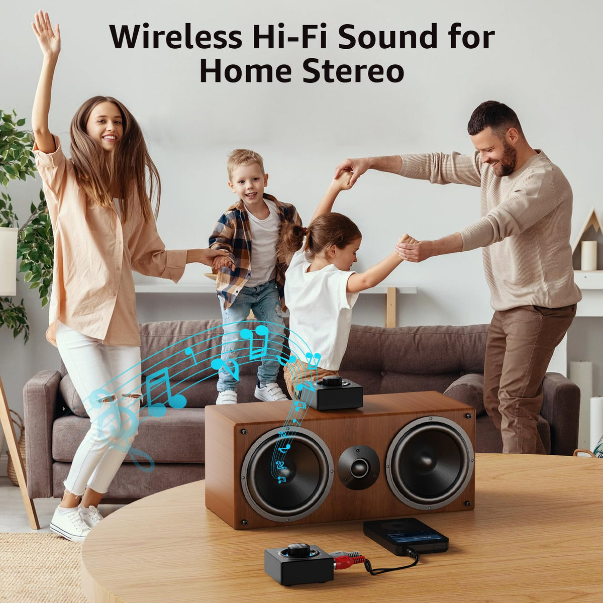 1Mii RCA/AUX inputs provide flexible connections for home theater