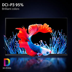 Acer XV271U ports including DisplayPort and HDMI for flexible connections