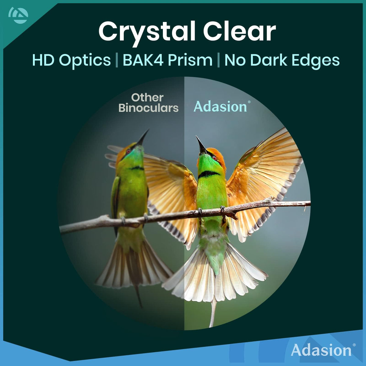 Adasion 12x42 binoculars showing a wide field of view for landscapes