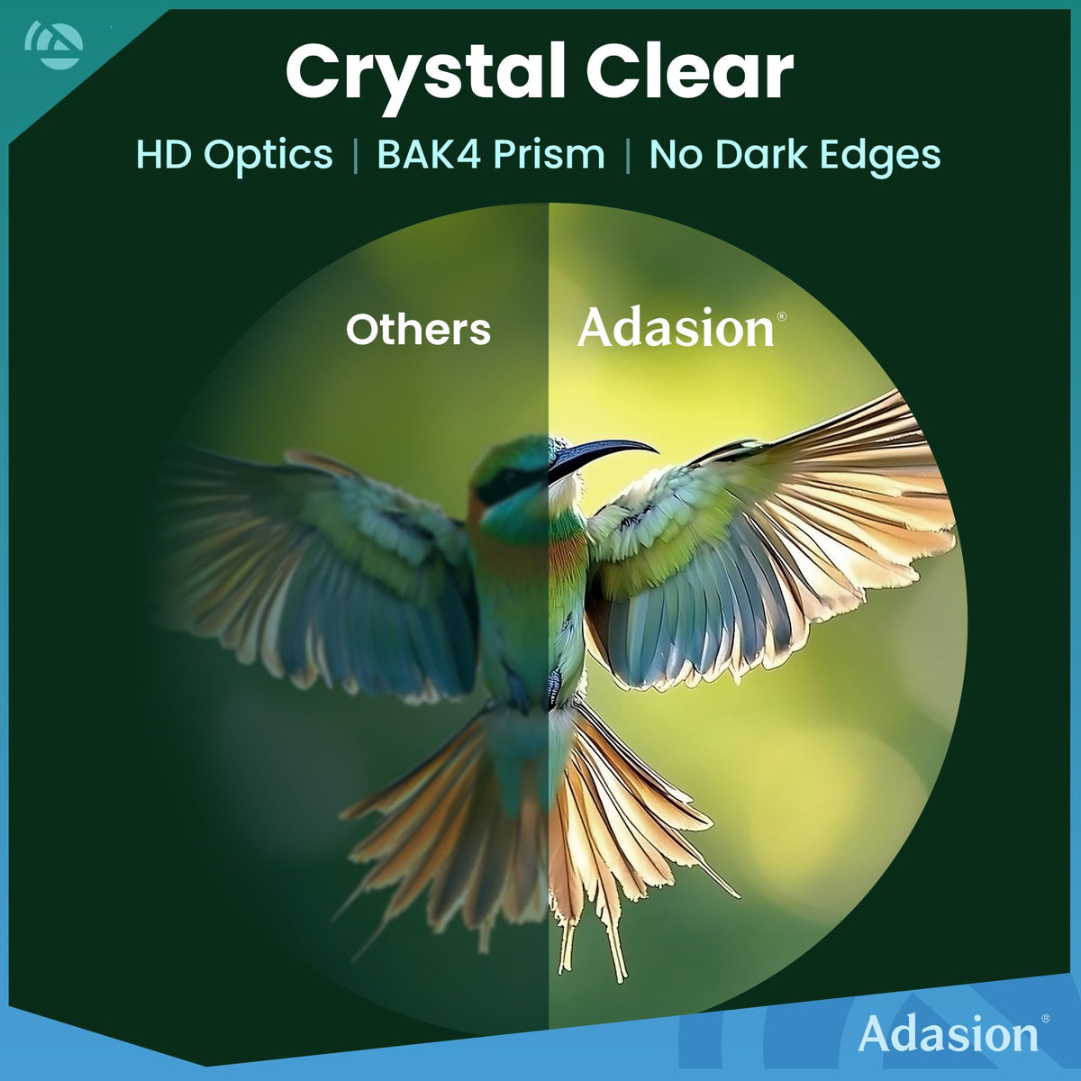 Adasion binoculars with phone adapter enable wildlife photos on the go.
