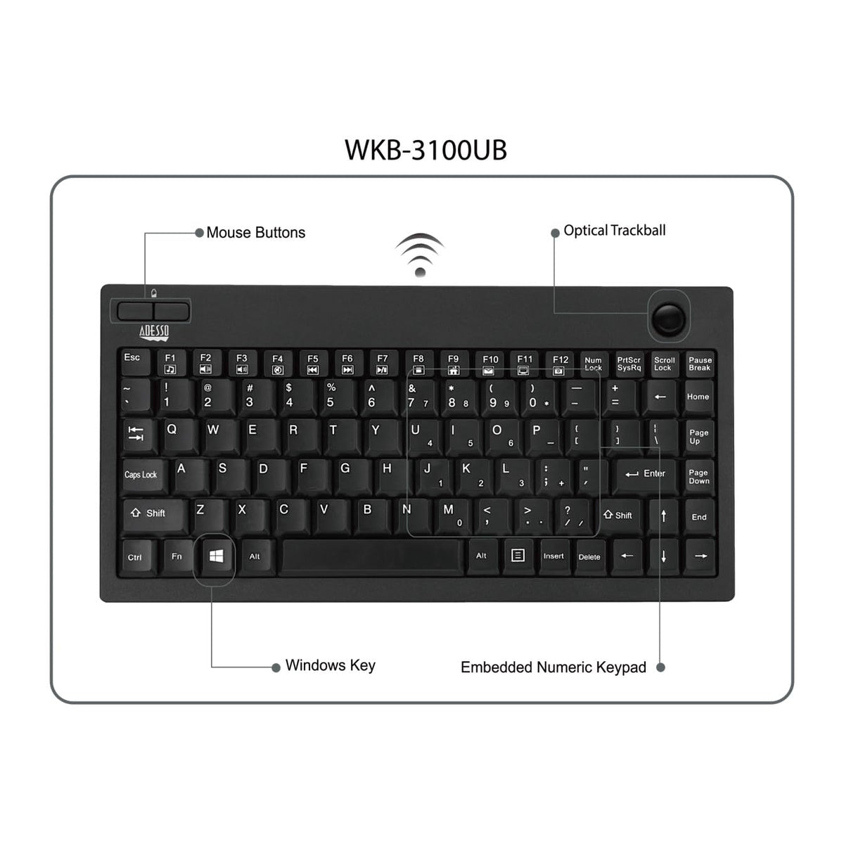 Adesso WKB-3100UB close-up of 800 DPI optical trackball highlighting precise cursor control