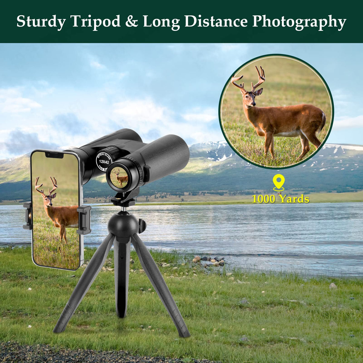 Adorrgon mounted on tabletop tripod providing steady photos benefit