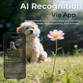 AIJOLLY AI recognition helps identify people, pets, and objects in footage