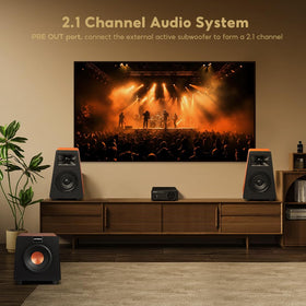 AIYIMA A07 rear connectors show versatile inputs for passive speakers