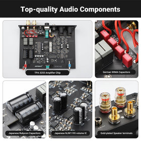AIYIMA A20 XLR and RCA inputs offer flexible connections.