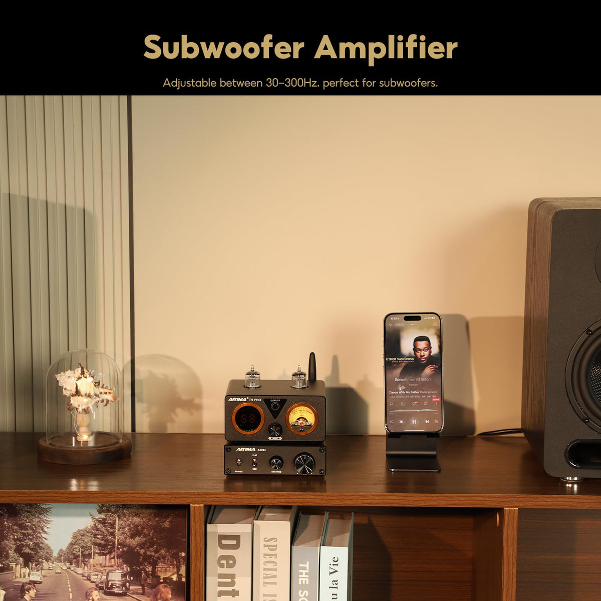 AIYIMA A3001 full-range switch enables seamless mono or sub-bass mode.