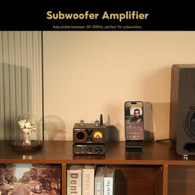 AIYIMA A3001 full-range switch enables seamless mono or sub-bass mode.