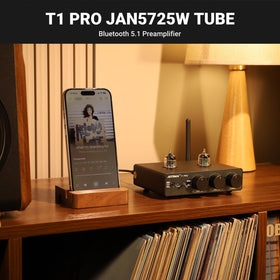 AIYIMA T1 PRO RCA and AUX outputs enable flexible connections.