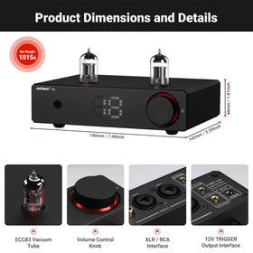 AIYIMA T20 op-amp swap area emphasizes customizable sound shaping.