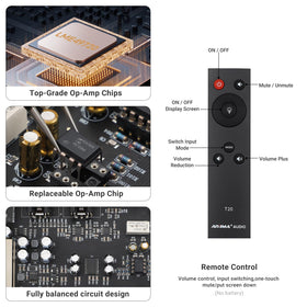AIYIMA T20 XLR and RCA outputs enable balanced, low-noise connections.