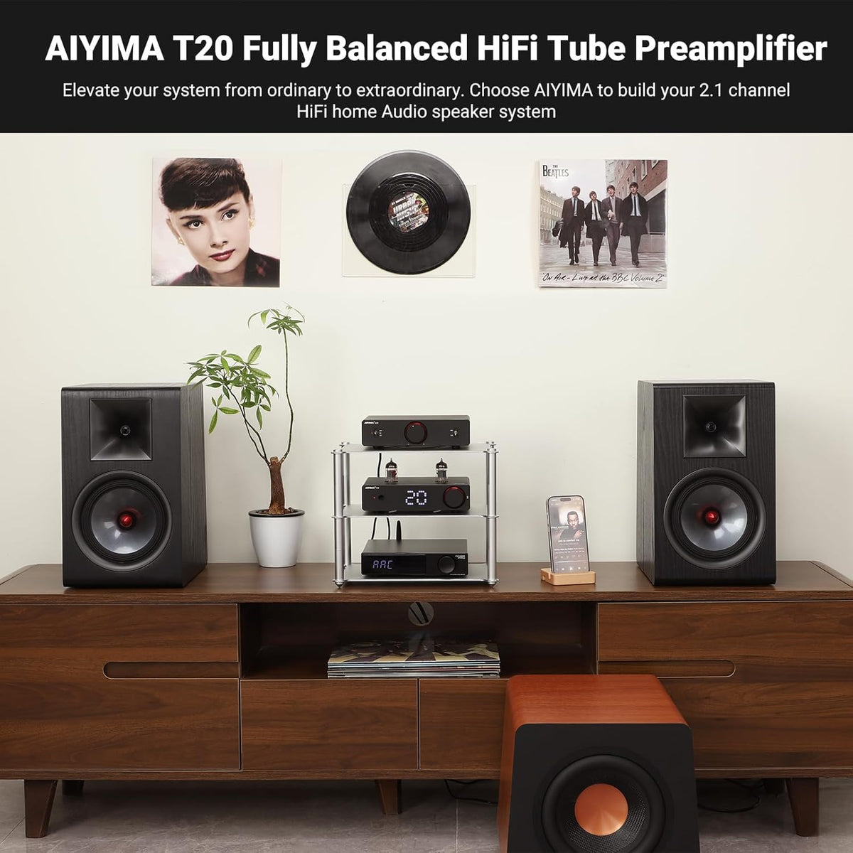 AIYIMA T20 remote and digital display provide precise volume control.