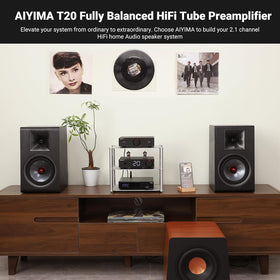 AIYIMA T20 remote and digital display provide precise volume control.