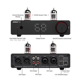 AIYIMA T20 tube detail highlights warm harmonic character and build quality.