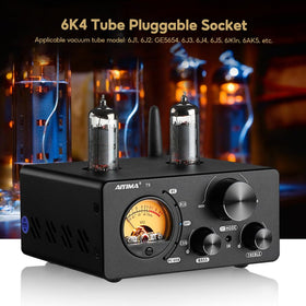 AIYIMA T9 back panel ports enable Bluetooth, coax, optical and USB connections.