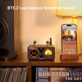 AIYIMA T9 PRO back panel ports offer versatile connections for devices.