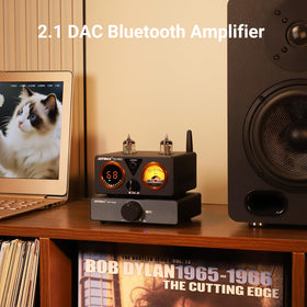AIYIMA T9 PRO vacuum tubes provide warm, rich tone texture.
