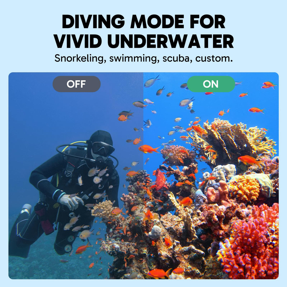 Underwater shot captured with AKASO EK7000 Pro