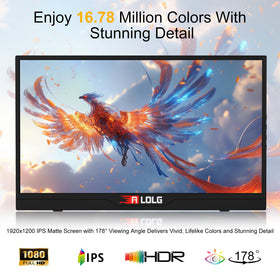 ALOLG portable monitor showing wide color and clarity on the IPS panel.