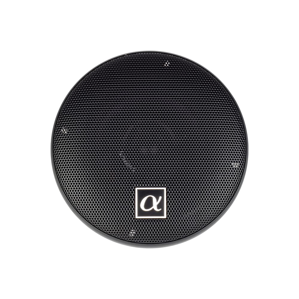 Alphasonik NS42 PEI dome tweeter detail showing crisp high-frequency benefit