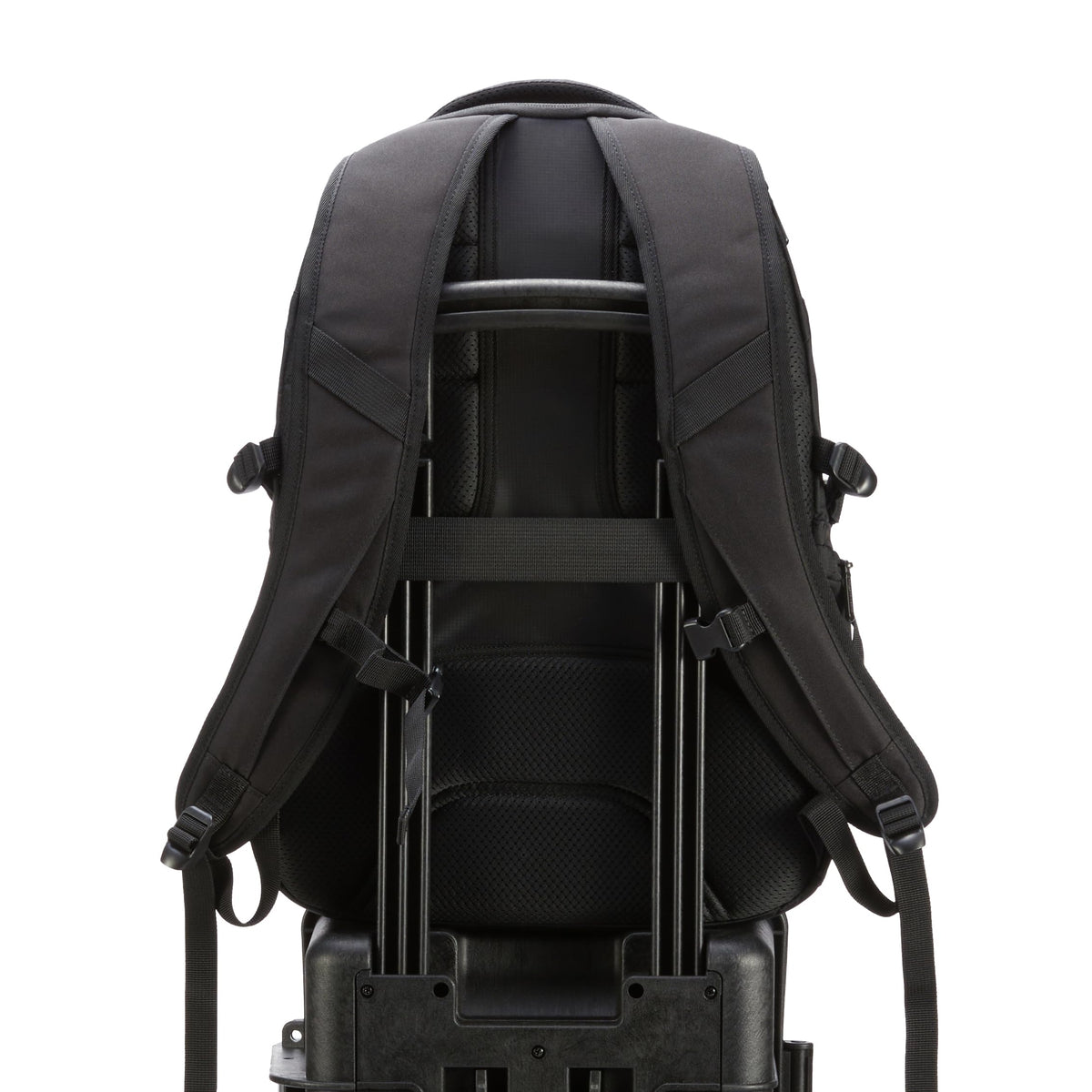 Amazon Basics next to water bottle showing backpack scale and generous capacity
