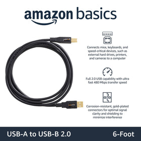 Amazon Basics USB 2.0 printer cable A-to-B 6-foot, compatible with many printers