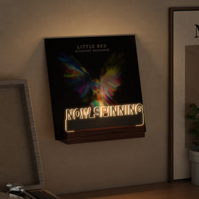 Ammonite living room music display adds warm decor to any space