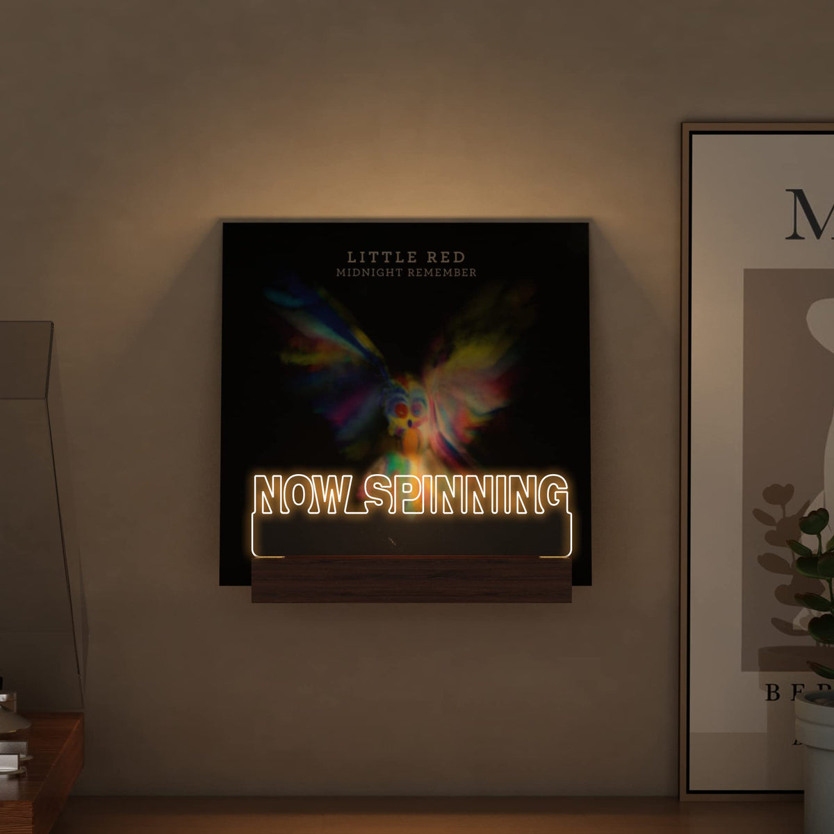 Ammonite vinyl display in wood and acrylic with LED highlight