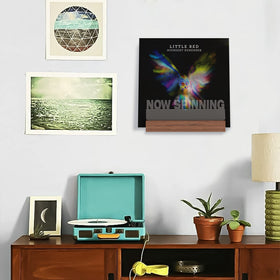 Ammonite warm white LED lighting adds cozy ambiance to records