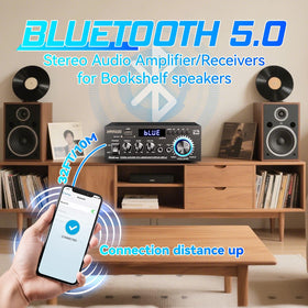 AMPHIFIAUDIO AK45 Pro rear connections with RCA, speaker terminals and power inlet benefit versatility