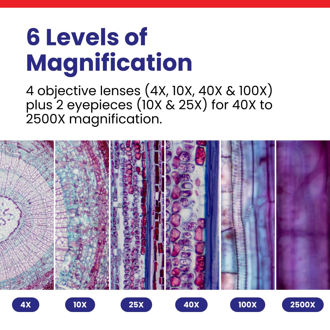 AmScope B120 LED illumination delivers bright daylight-balanced lighting for clear specimens