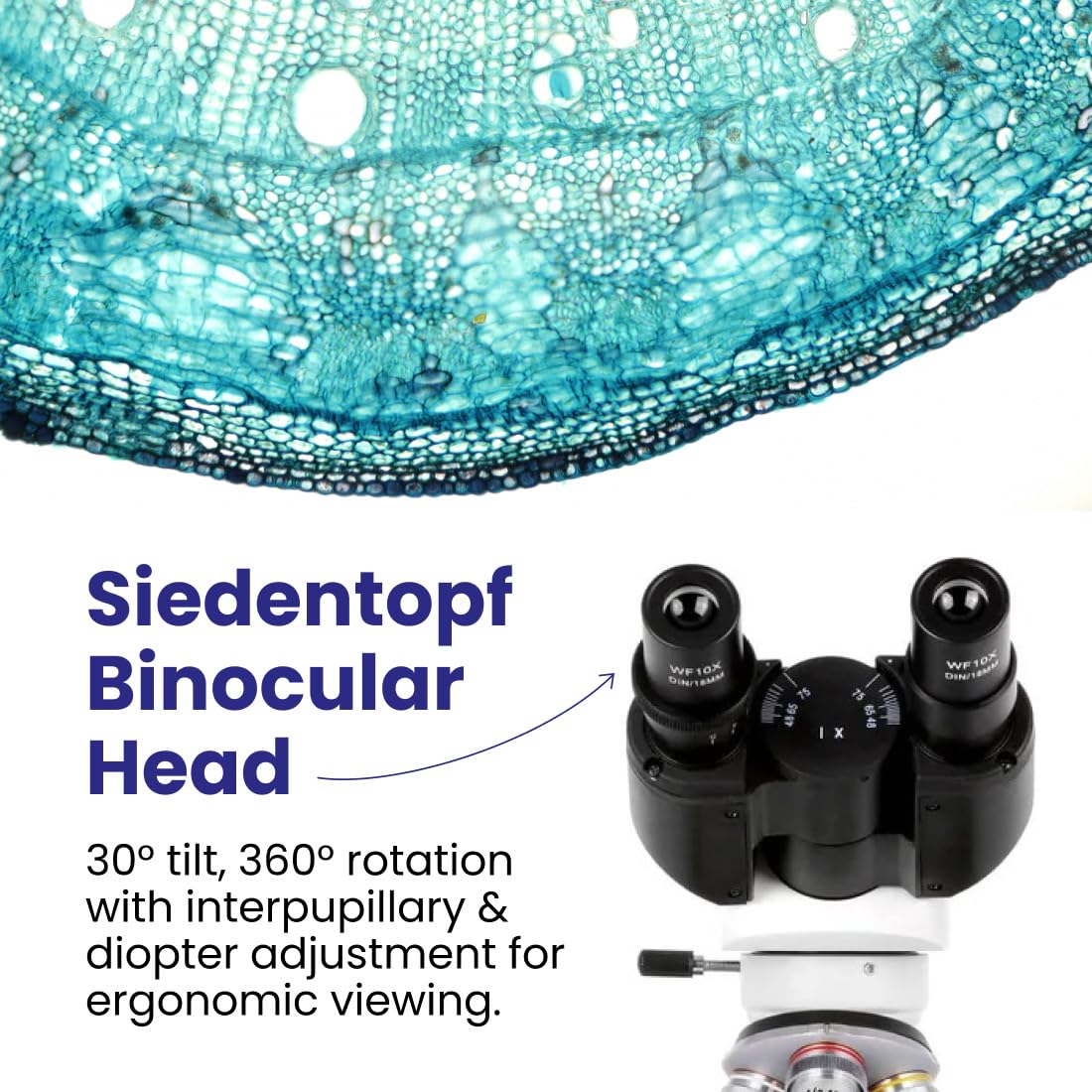 AmScope B120 5MP USB camera captures high-resolution images for analysis