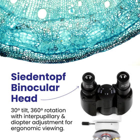 AmScope B120 5MP USB camera captures high-resolution images for analysis