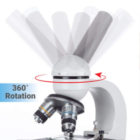 AmScope coarse and fine focusing offer precise detail at any zoom.